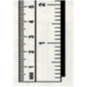Ruler, Metric/English, 1" x 100",  (Specify R to L or L to R]top