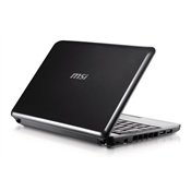 MSI Wind U100-053US 10-Inch Mini Laptop  (1.6 GHz Intel Atom Processor, 1 GB RAM, 80 GB Hard Drive, XP Home, 6 Cell Battery) Black