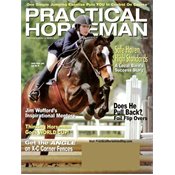 Practical Horseman